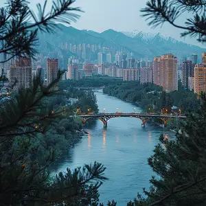 夏荷表示什么含义