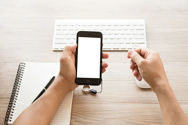 花语的意思和含义